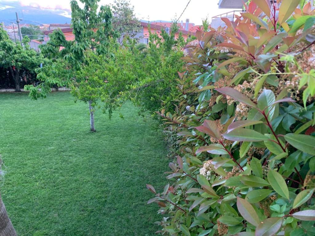 B&B The Garden 佩斯卡拉 外观 照片